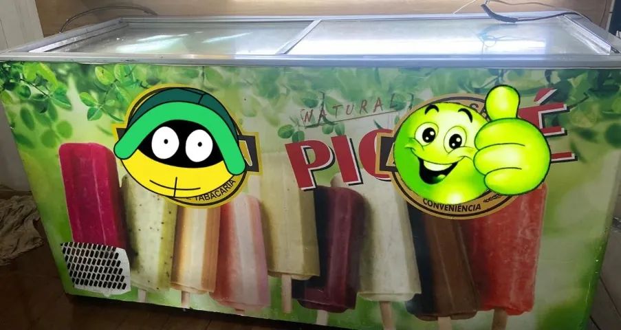 Freezer 500L usado