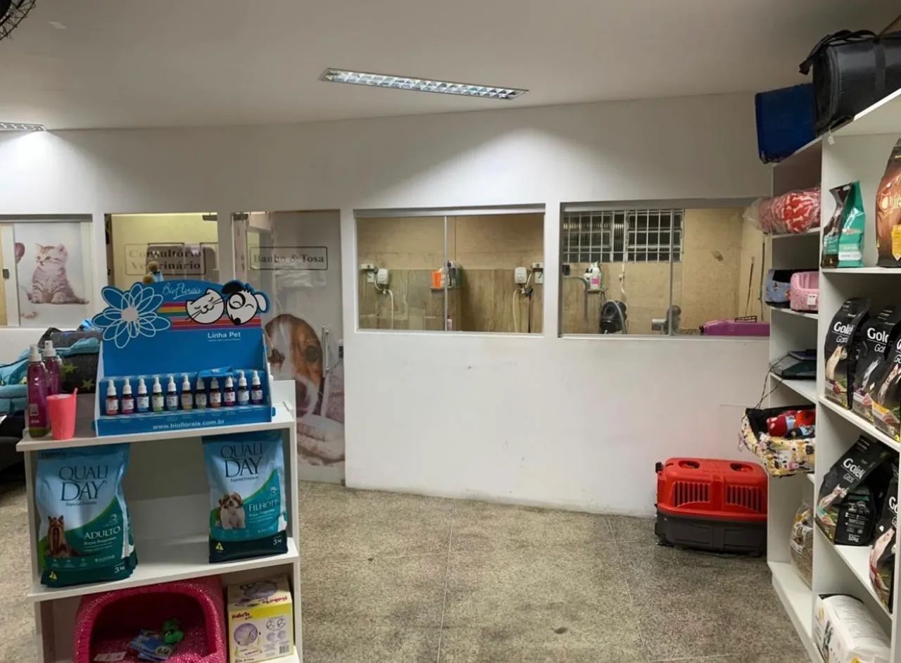 Pet shop - Foto 4