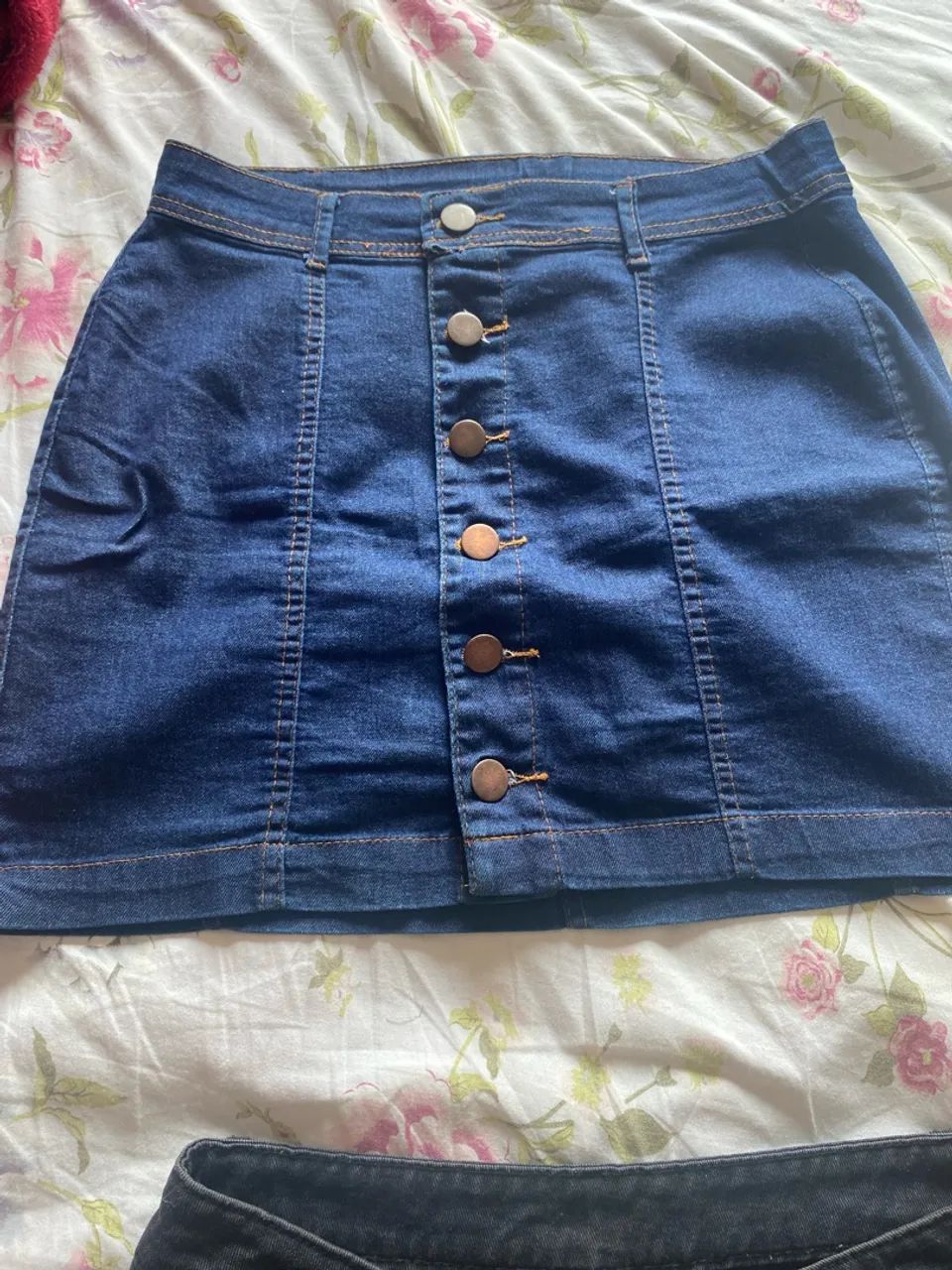 Saia - Foto 2