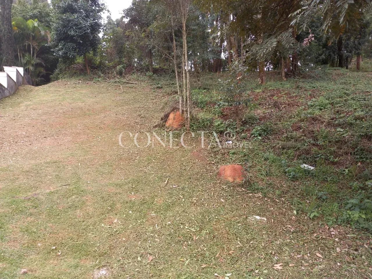 Tamboré 01 - Foto 2
