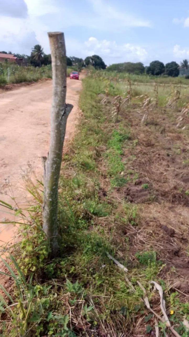 Excelente localiza ção  - Foto 2