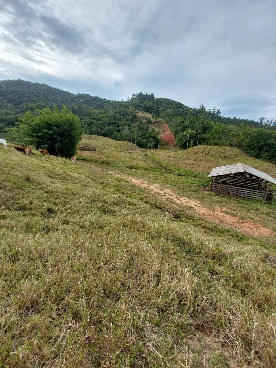 ?VENDE-SE TERRENO EM RIO DUNA -LARANJAL ? - Foto 2
