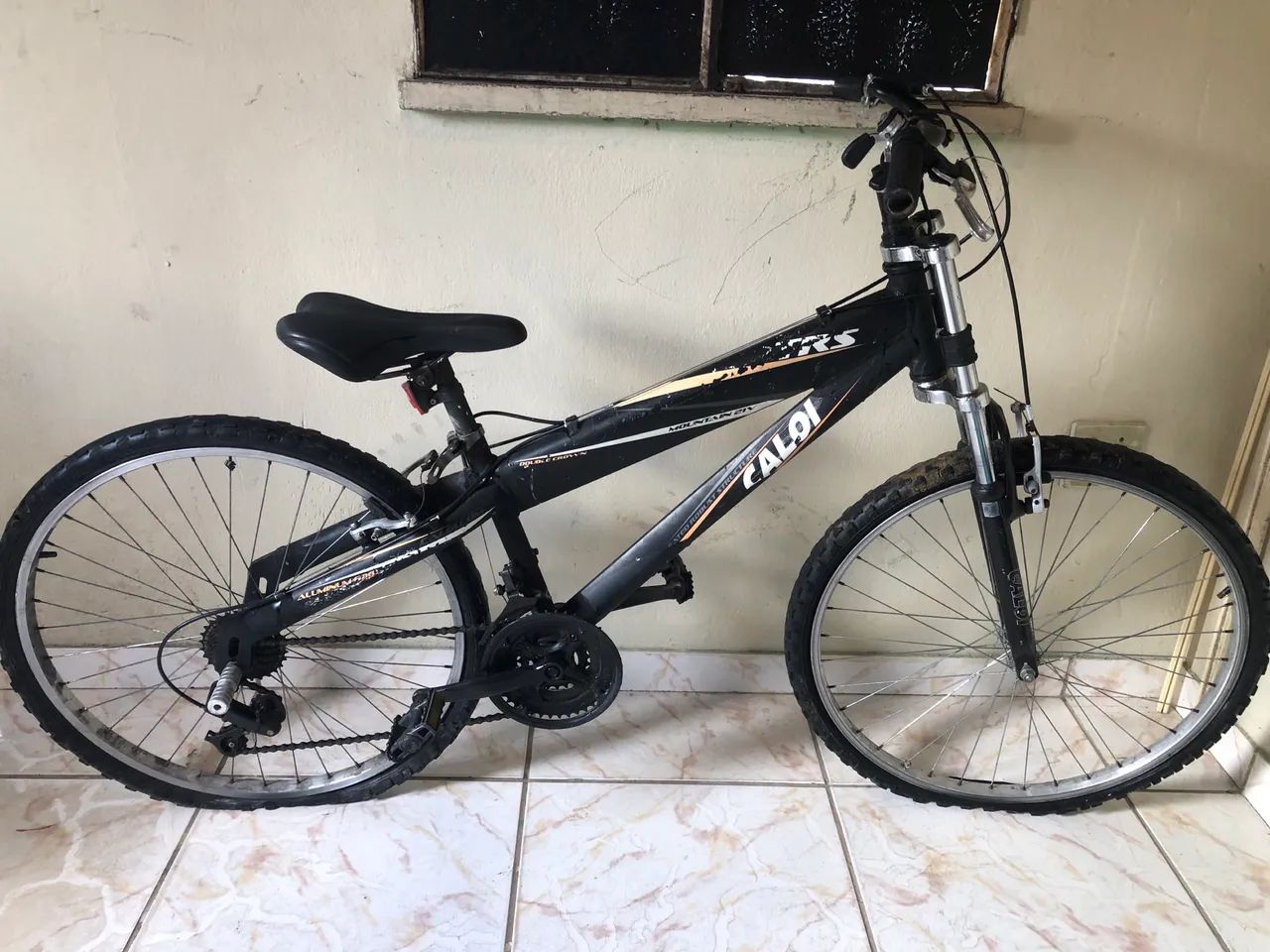 Bicicleta 