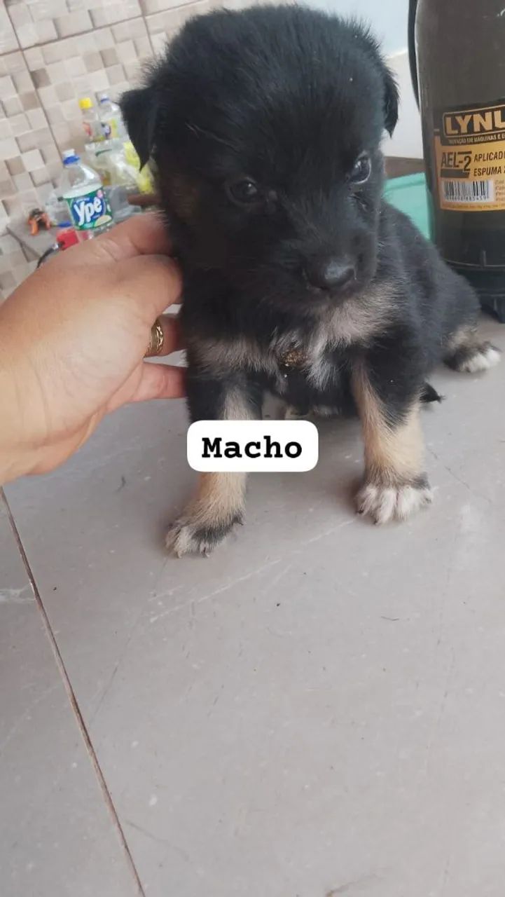 Doação responsável 