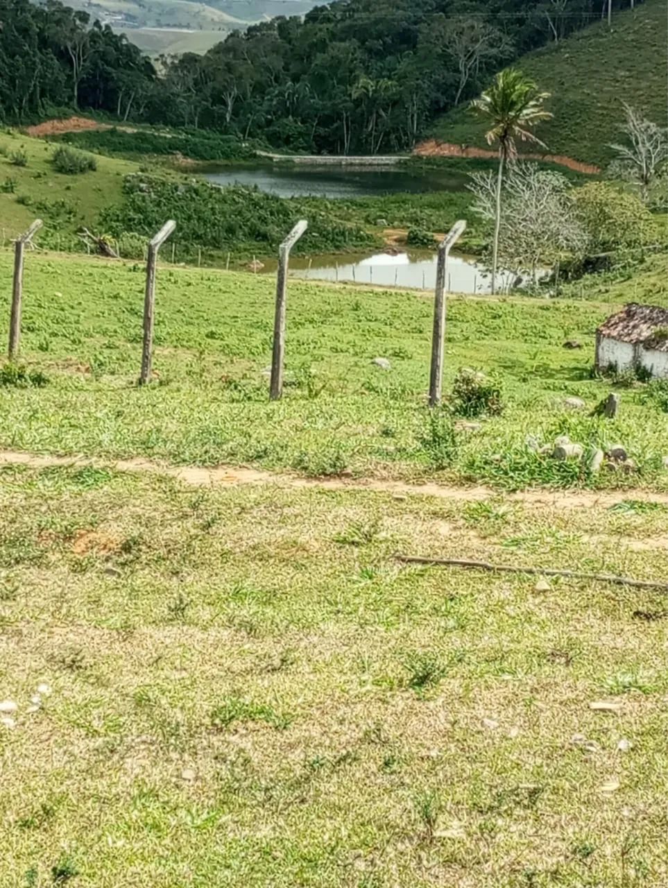 Excelente Fazenda !!  - Foto 2