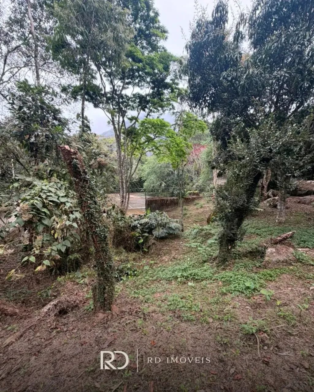 TERRENO EM ARARAS - PETROPOLIS - Foto 5