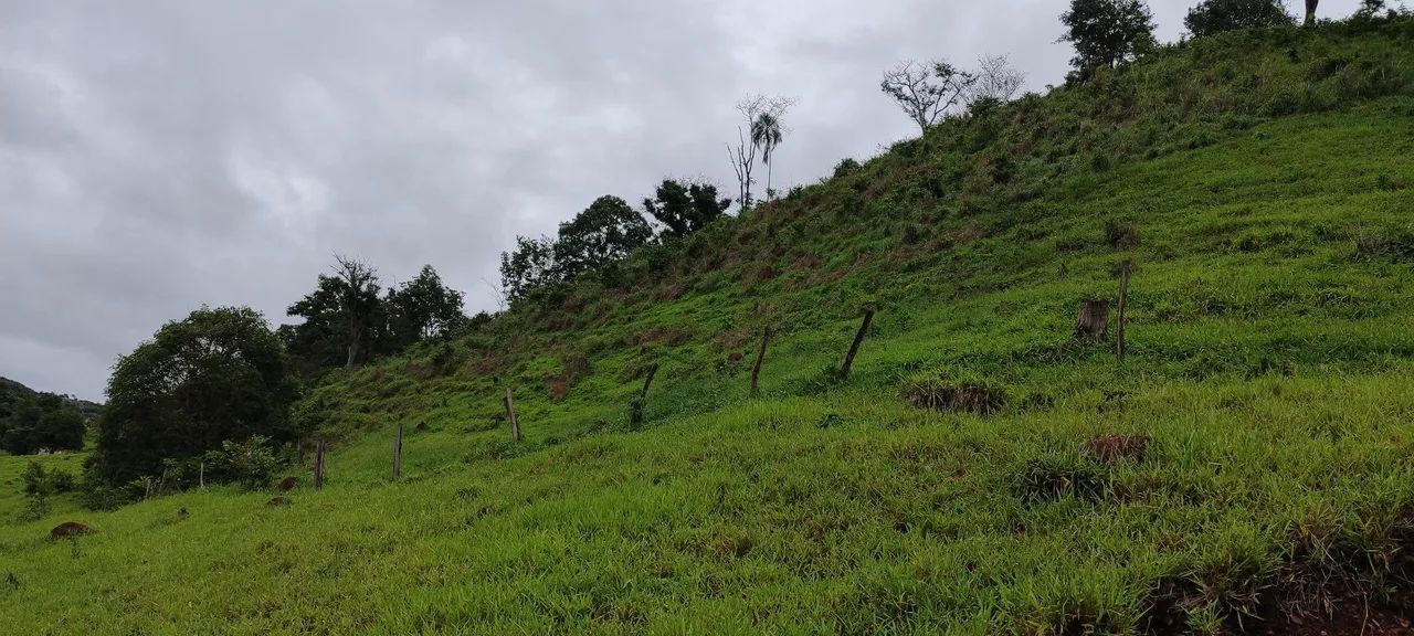 Chácara em Bela vista  - Foto 4