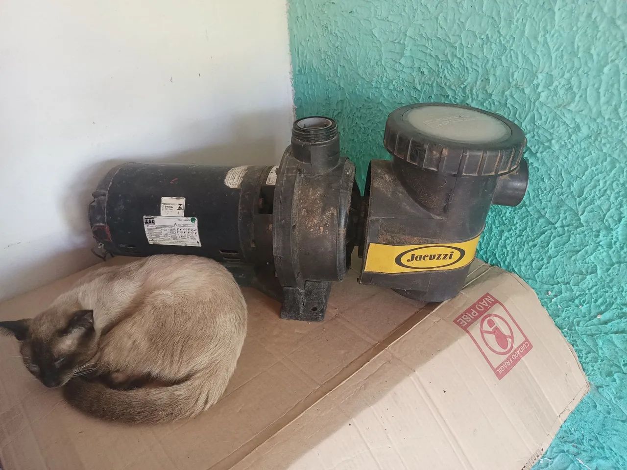Motor bomba jacuza  - Foto 2