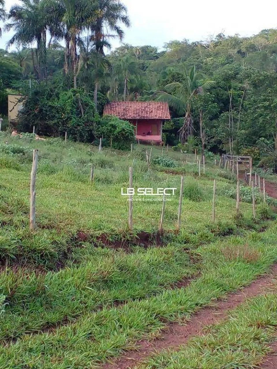 Sítio há 35 km de Uberlândia.