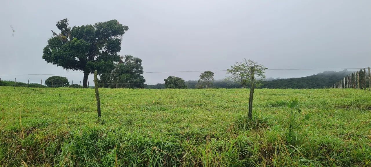 Sitio com. 20 hectares