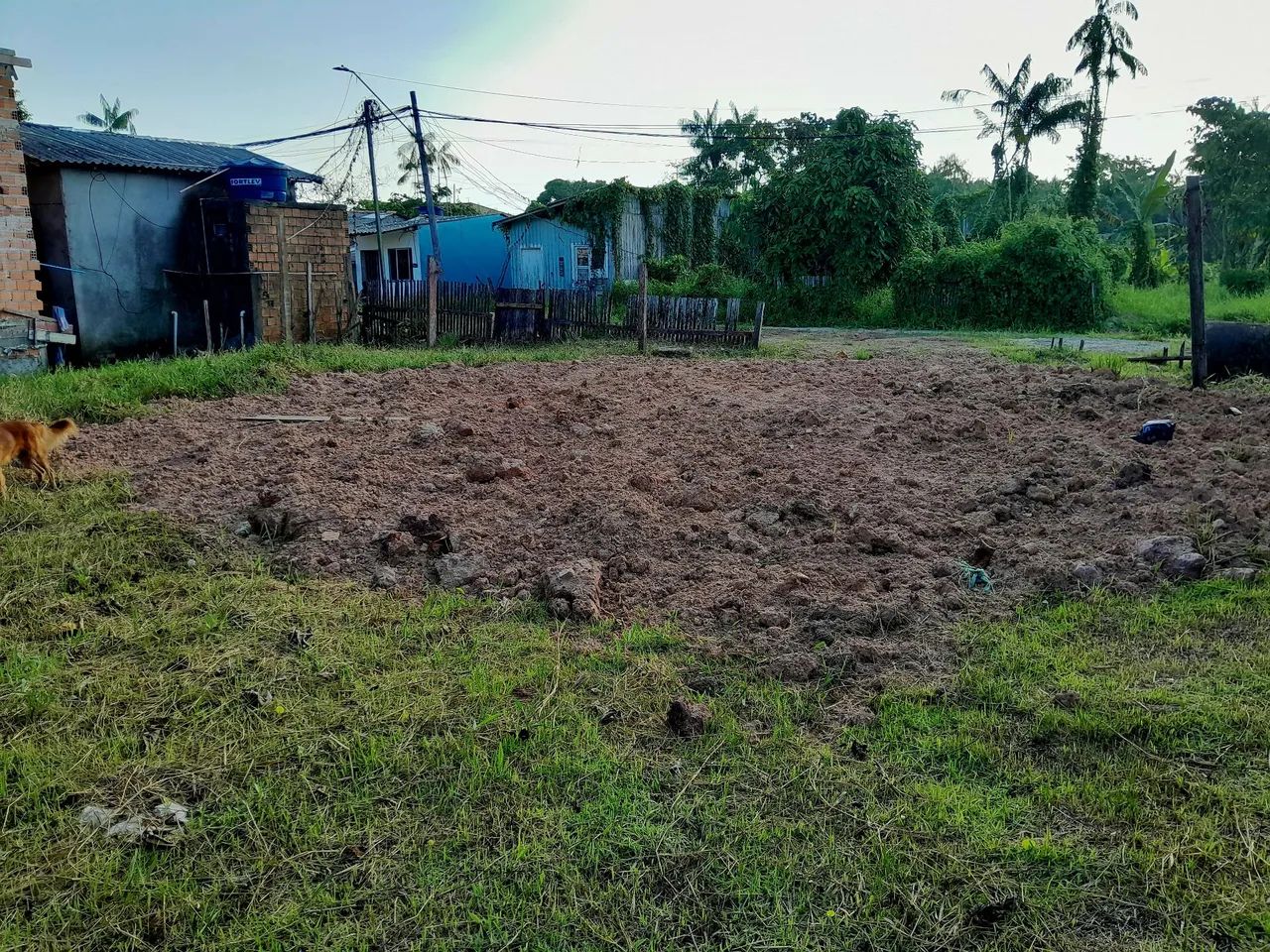 Terreno amplo  - Foto 4