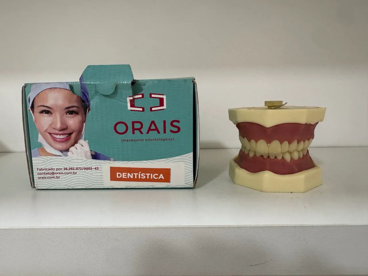 Manequim de Dentística