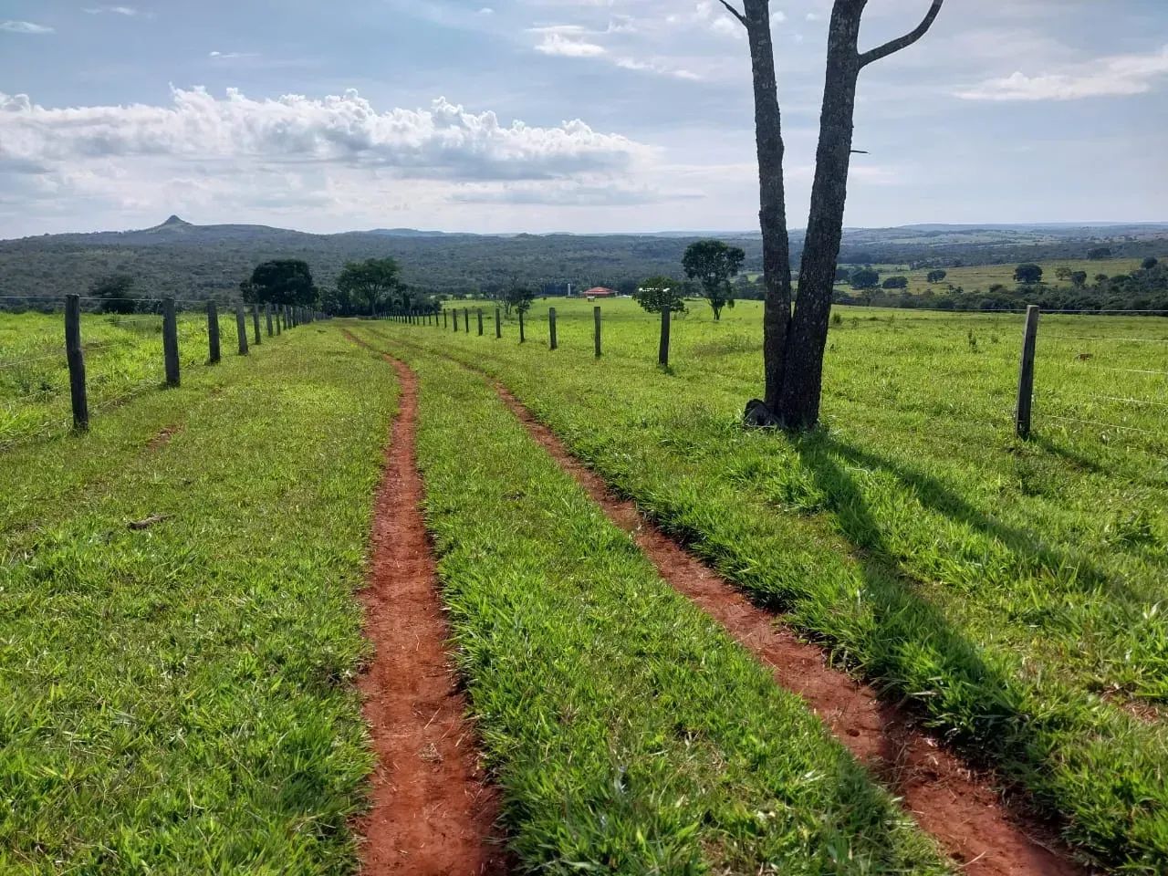 Rural - Caiapônia - GO