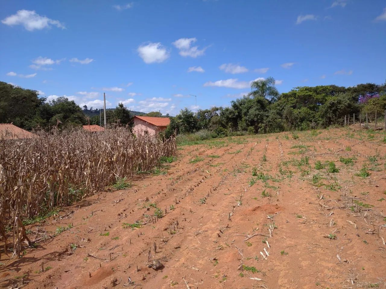 Vende-se  - Foto 5
