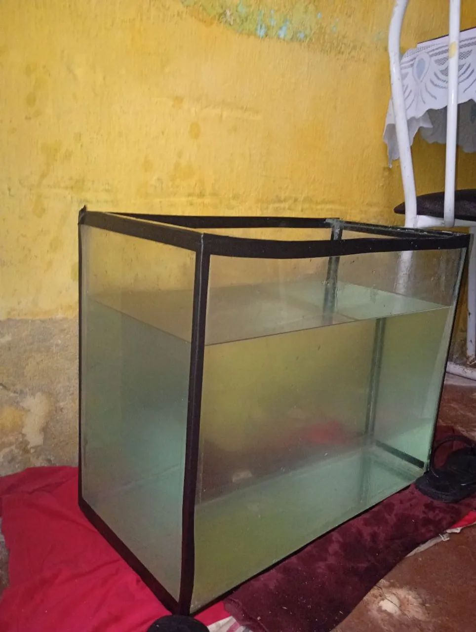 AQUARIO DE 50L  - Foto 3