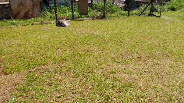 Barbada : Casa na Caiacanga, Ribeirão da Ilha, com 3 dormitórios, área de 650m² - Foto 19
