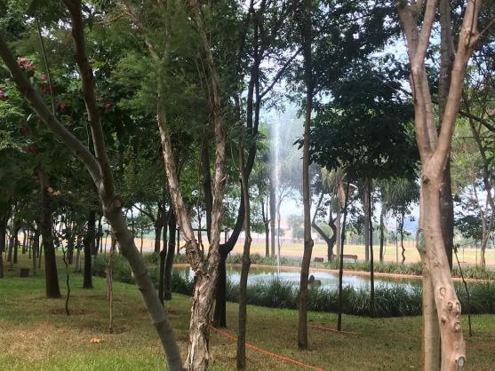 Terreno à venda em Condomínio fazenda santa maria, Ribeirão preto cod:8072 - Foto 4