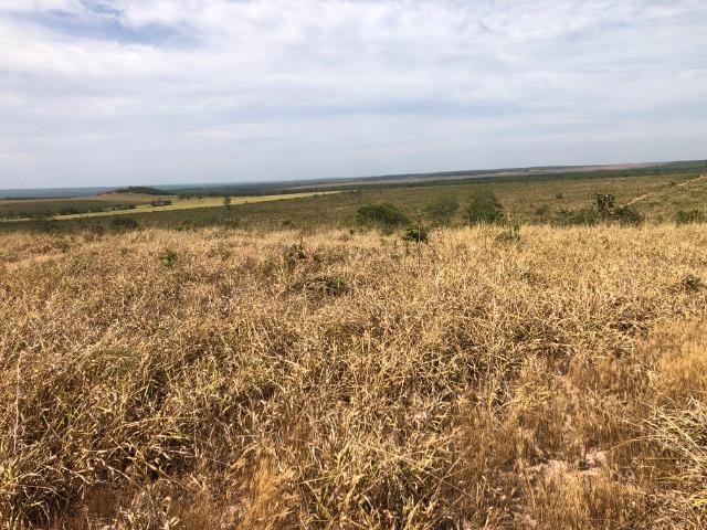14 anos pagar, 1390 Hectares, 1000 Hectares pastagens, aberta, Limpa, Pecuária Comodoro-MT - Foto 5