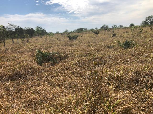 14 anos pagar, 1390 Hectares, 1000 Hectares pastagens, aberta, Limpa, Pecuária Comodoro-MT - Foto 17