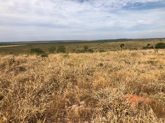 14 anos pagar, 1390 Hectares, 1000 Hectares pastagens, aberta, Limpa, Pecuária Comodoro-MT - Foto 4