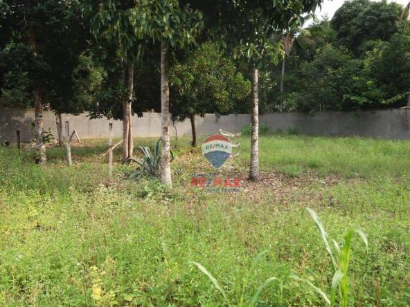 Re/max chave de ouro vende terreno próximo ao centro de arraial d? ajuda. localização priv - Foto 10
