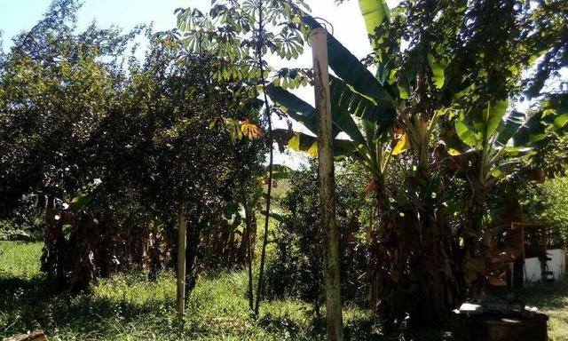 Belíssimo sítio em Cachoeiras de Macacu RJ 122 medindo 40.000m2 - Foto 8