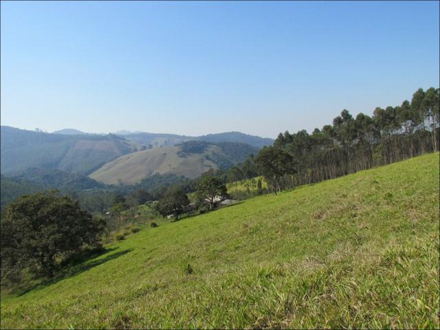Fuja da cidade terreno em meio a natureza - Foto 6