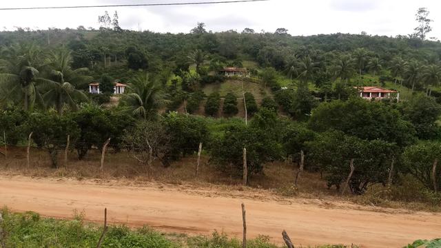 Sítio (Interior de Alagoinhas BA)