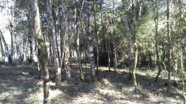 Chácara à venda, 6904 m², com 1 construção, loteamento areia branca dos nogueiras- mandiri - Foto 12