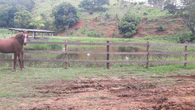 Vendo ou troco sítio top perto da Fazenda salgada - Foto 4
