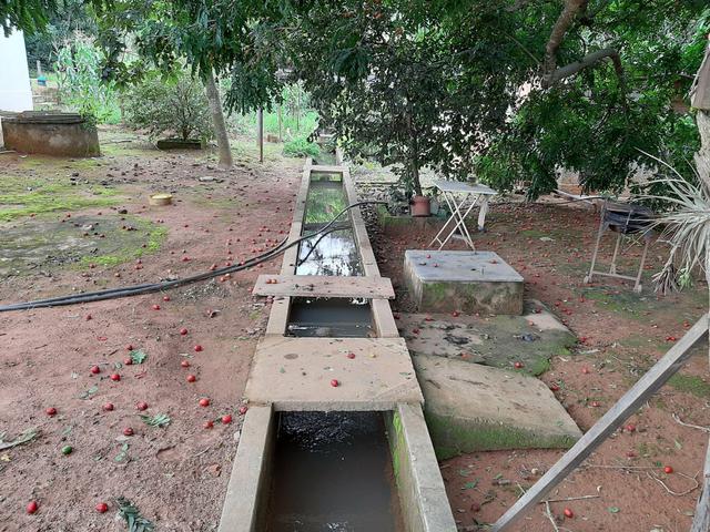 Chácara de 1.500 metros 14 km de Anápolis, com represa e Rego ?água - Foto 10