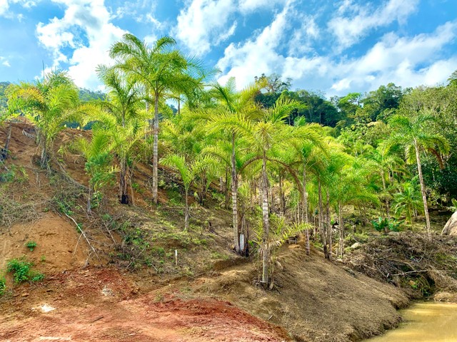**UM PARAÍSO EM SANTA TERESA** - Foto 5