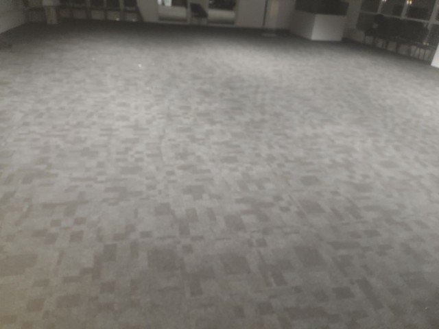 Carpetes de Escritório 