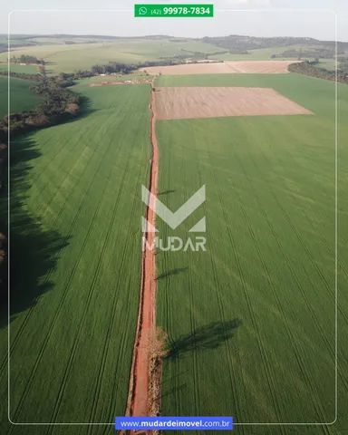 Área industrial em Ponta Grossa em frente a Bunge - Foto 8