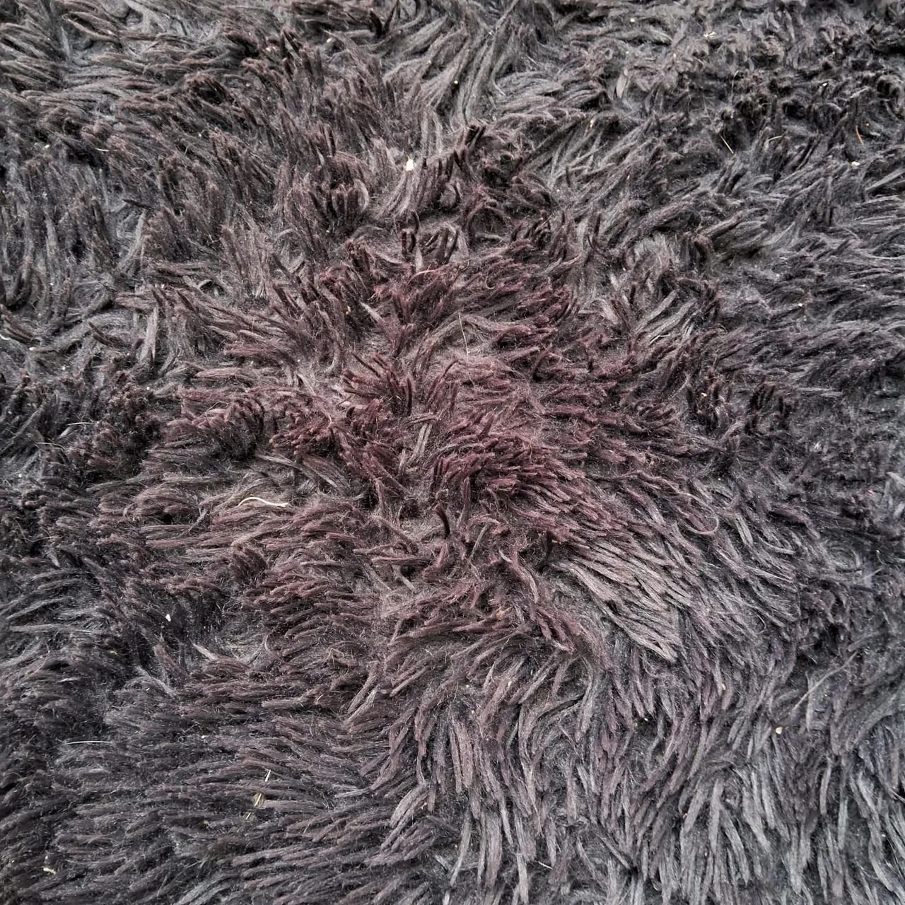 Tapete Pelúcia Preto - 2,00x2,50m - Foto 2