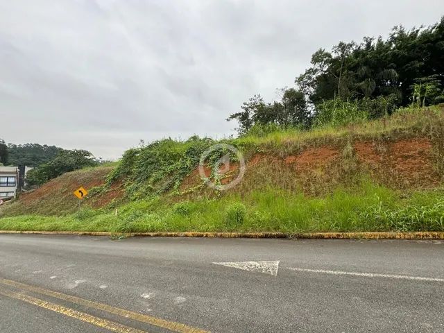 Lindo Terreno no Amizade - Foto 4