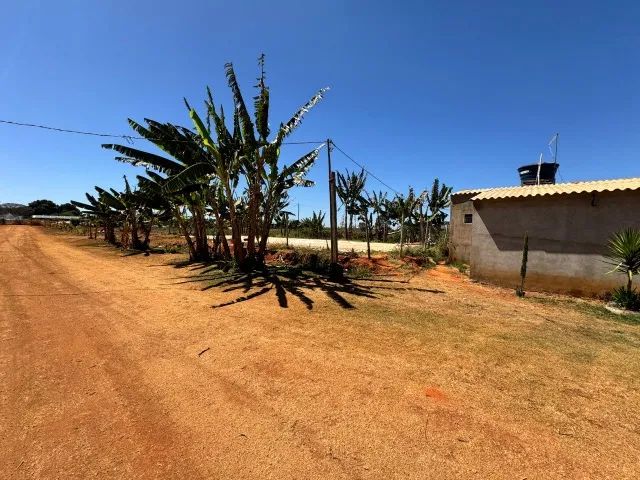 Vendo chácara com plantação - Foto 2