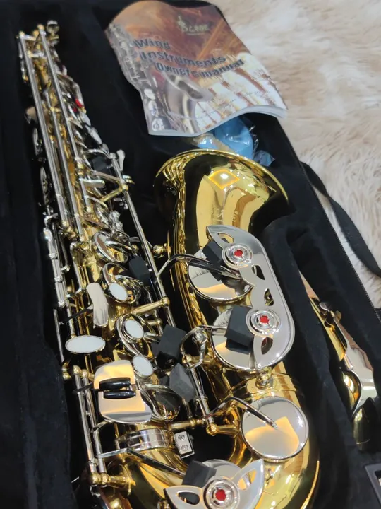 Sax Alto Novo Mib Garantia de 12 Meses Claudemiro Instrumentos Musicais