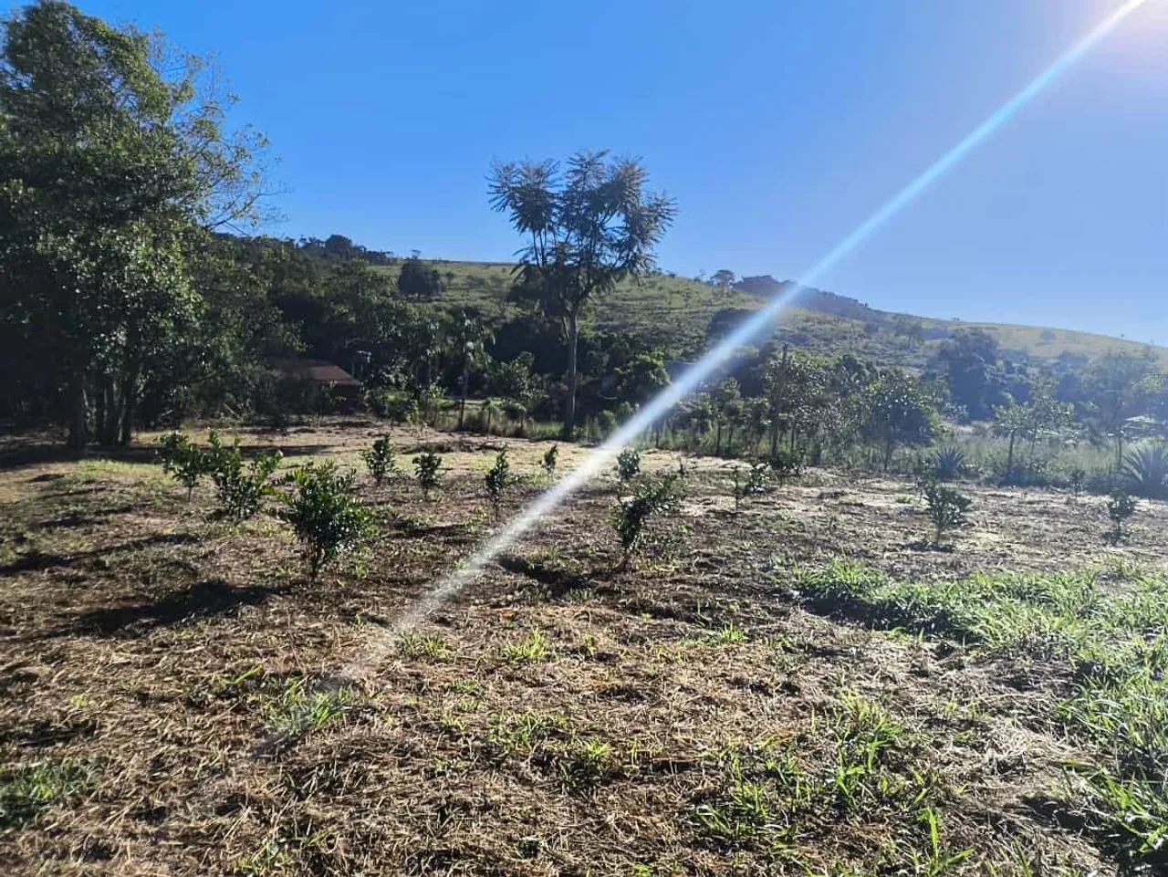 VENDO CHÁCARA EM PLANALMIRA COM CORREGO  - Foto 15