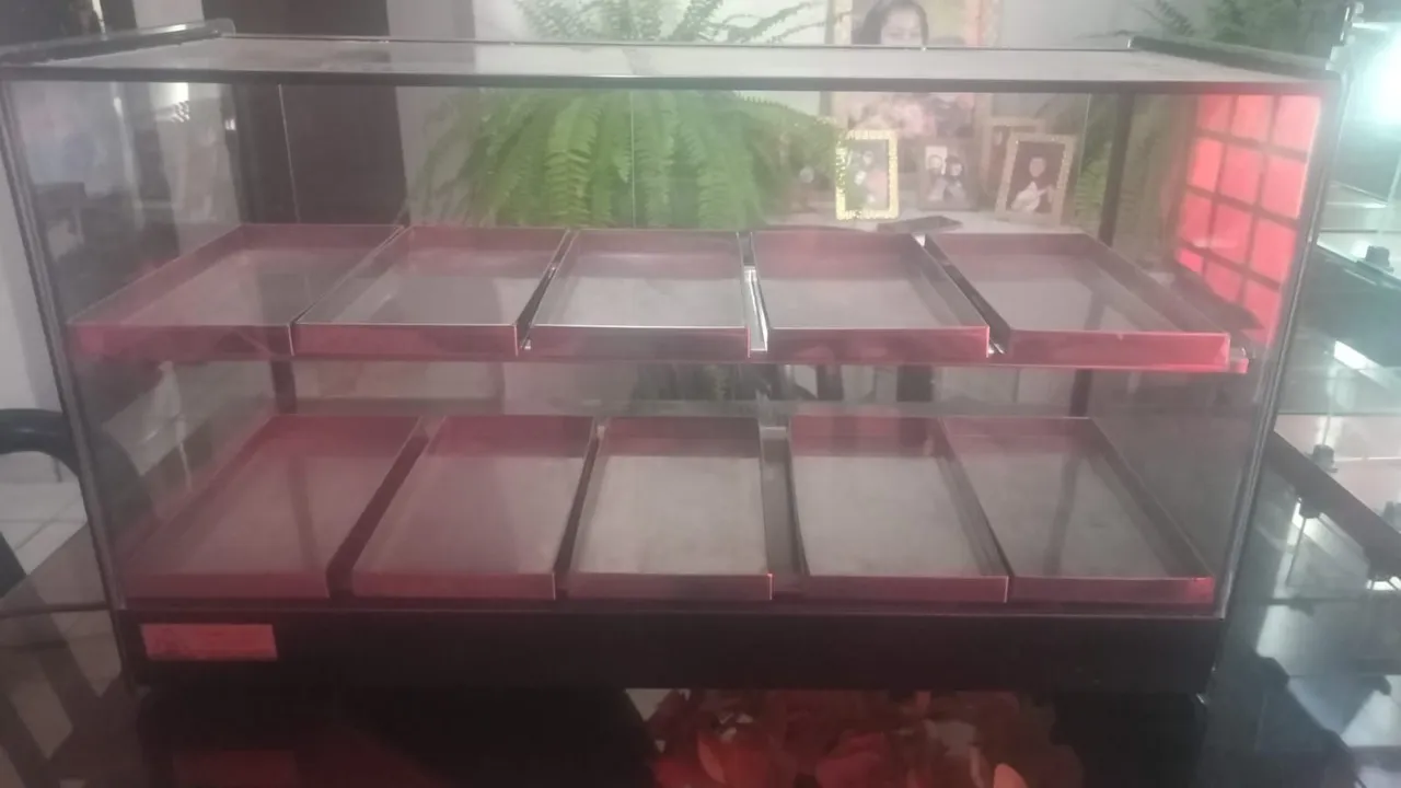 Estufa Titã 10 Bandejas