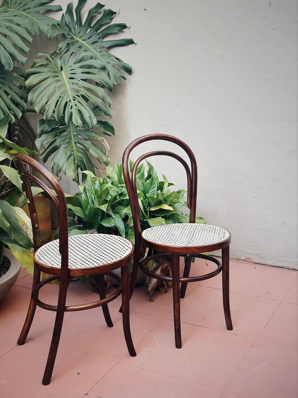 Set c/ 4 Cadeiras Thonet - Foto 2