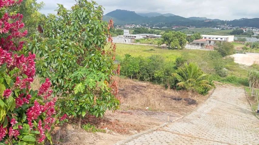 Vendo terrenos em Governador Celso Ramos-SC - 360 m2 de área.