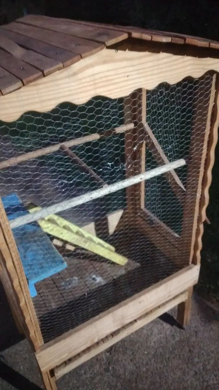 Viveiro calopsita - Foto 4