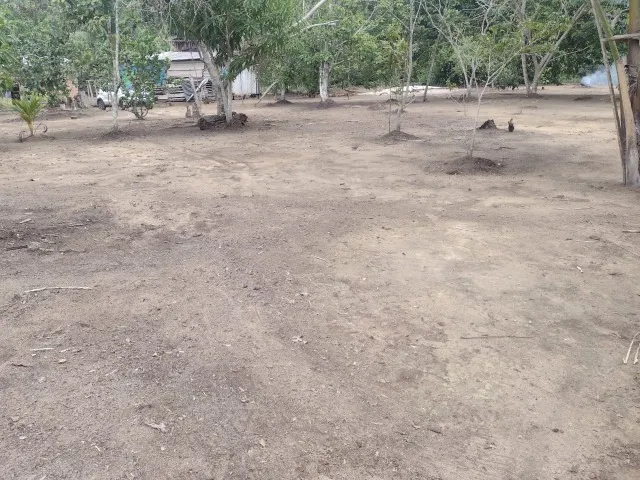 terreno no tarumã-açu