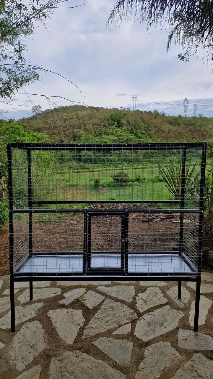 Viveiro Ideal para Calopsitas, Ring Neck e Pássaros de Médio e Pequeno Porte!