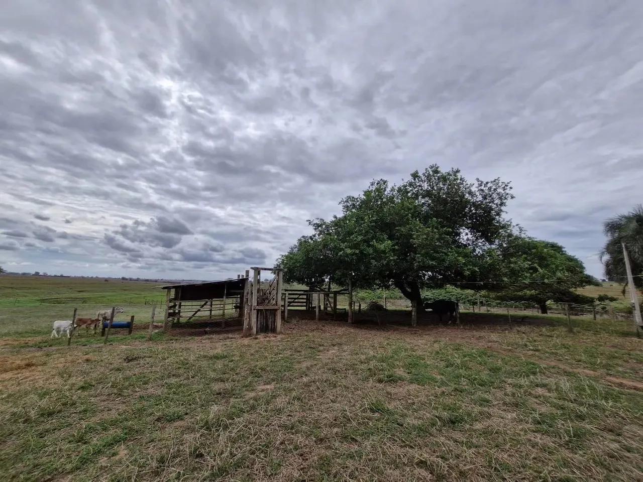 VENDE-SE SÍTIO EM MACEDÔNIA