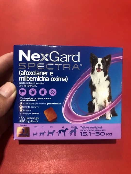 Promoção 110$ por 69$