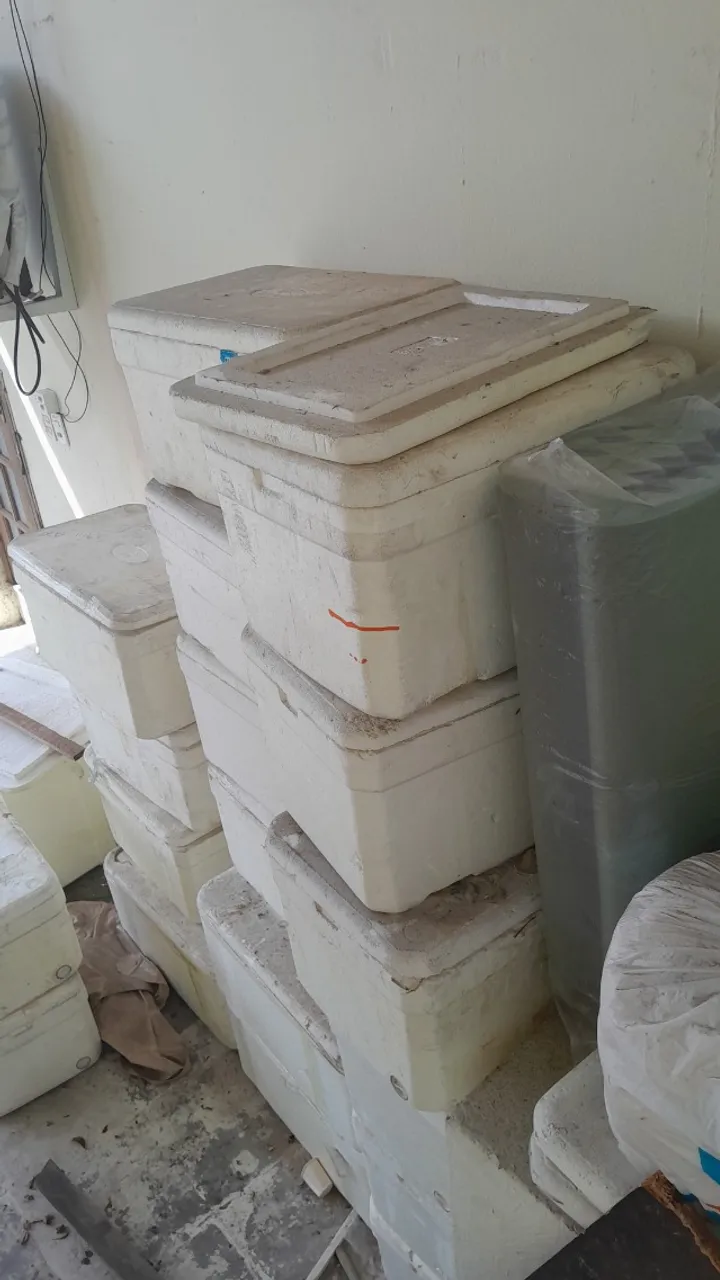 Caixas de isopor