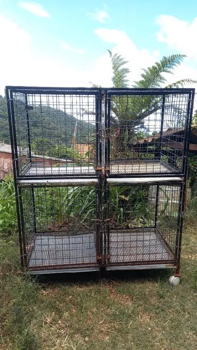 Gaiolao 4 divisórias 