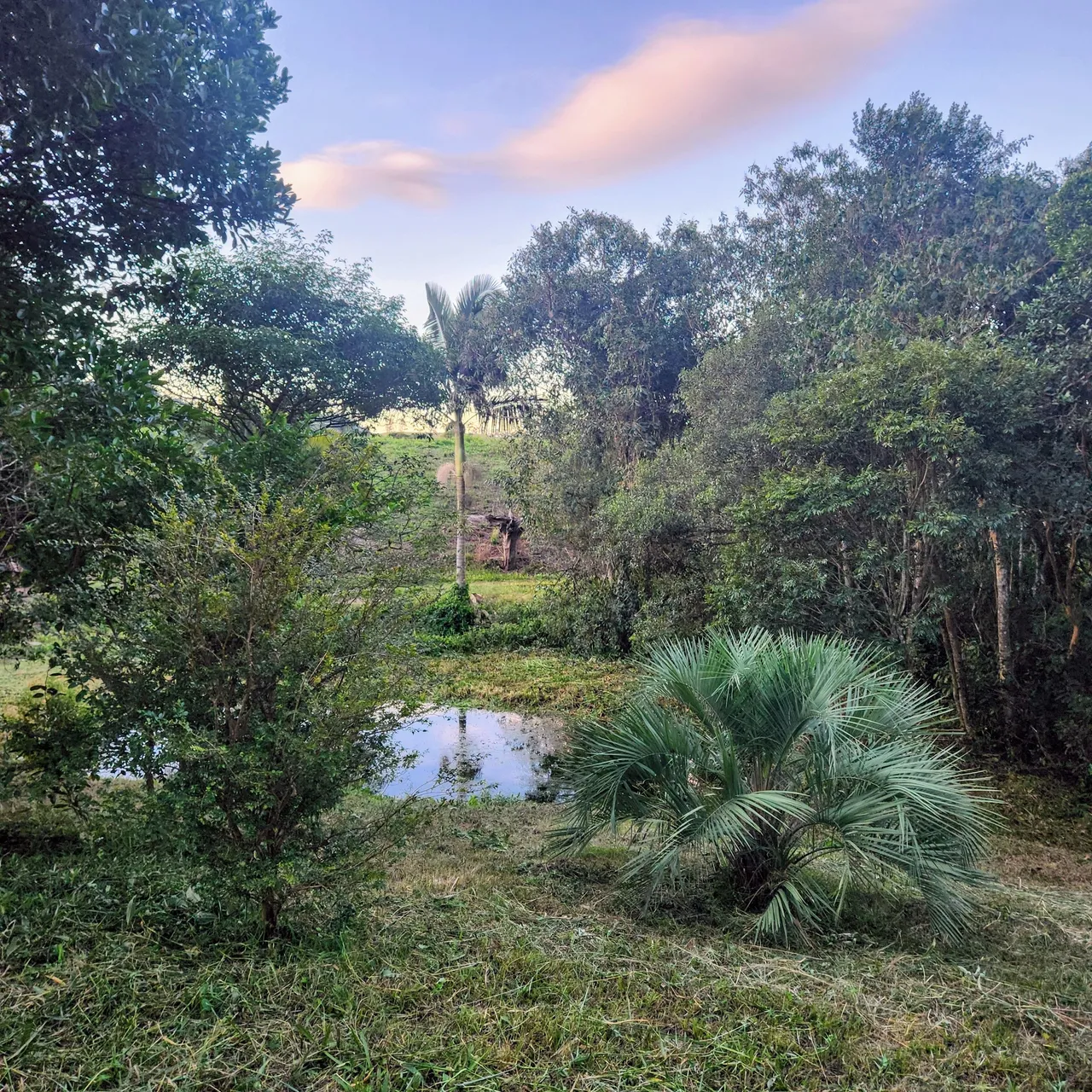 Terreno com área social para uso no Sitio Adventus